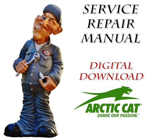 Product picture 2002 Artic Cat Mountain Cat 600 EFI LE Service Repair Manual